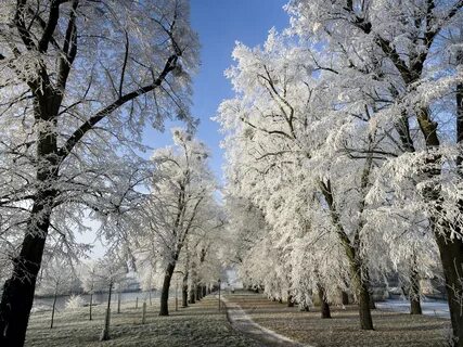 Красивые картинки времена года