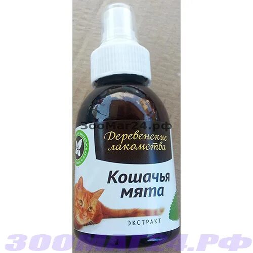 Как дать коту кошачью мяту. Как дать коту кошачью мяту