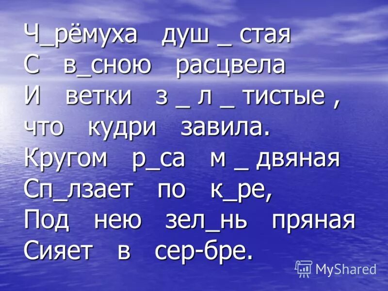 Х о р е й в
