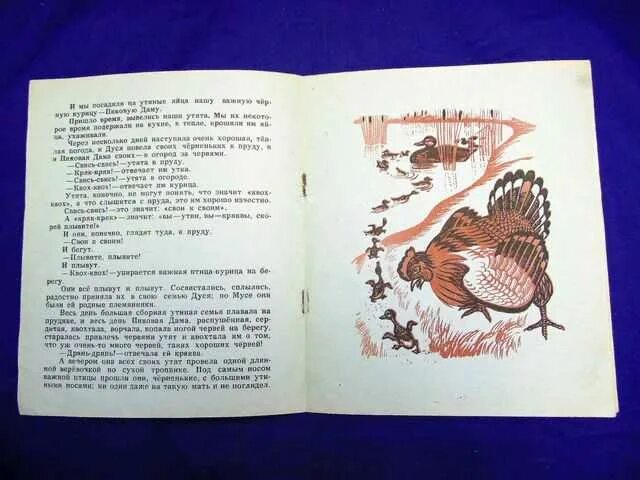 Пришвин изобретатель. Пришвин рассказ изобретатель. Михаил пришвин изобретатель иллюстрации. Михаил пришвин изобретатель иллюстрации. Михаил пришвин изобретатель.