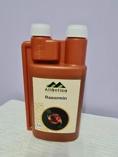 Райкат старт