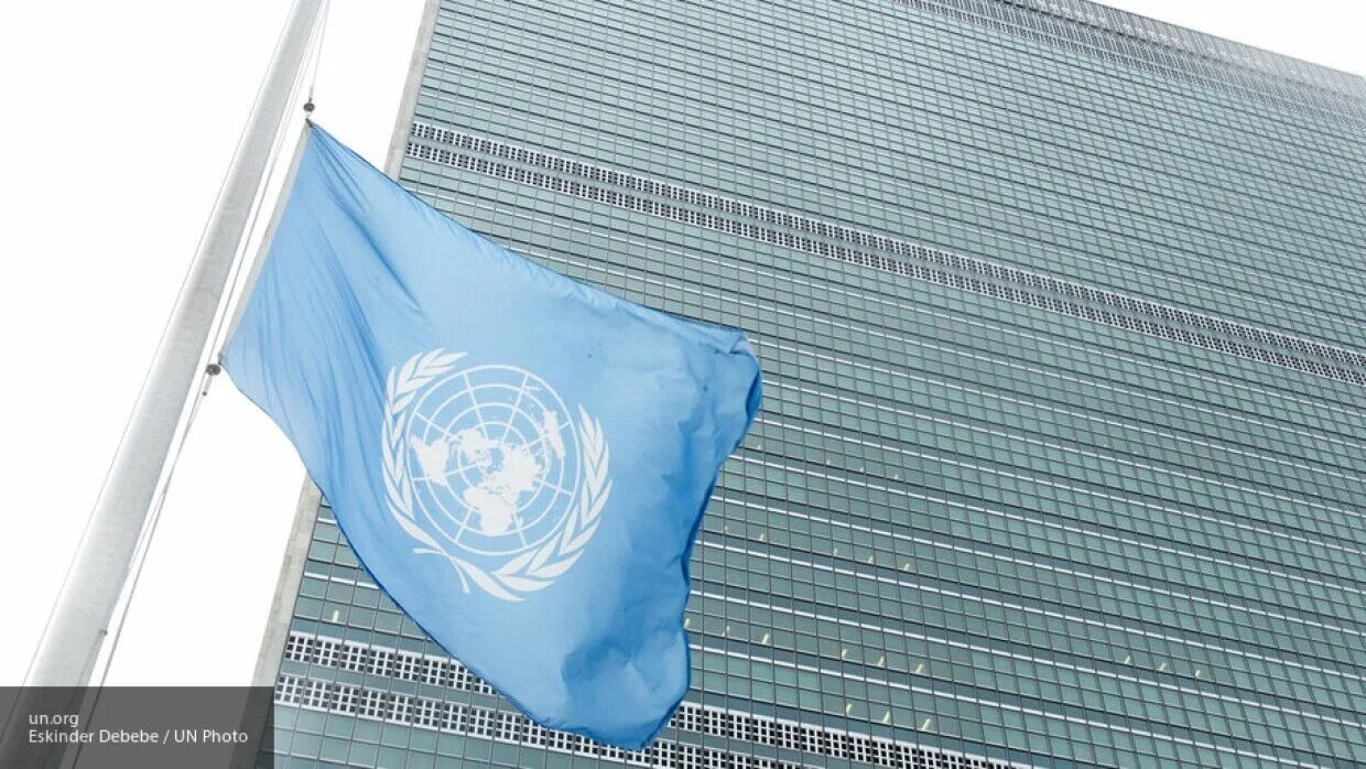 Организации оон в сша. Флаг ООН 1995. Миростроительство ООН. ООН Украина.
