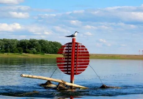 Бакены на реке