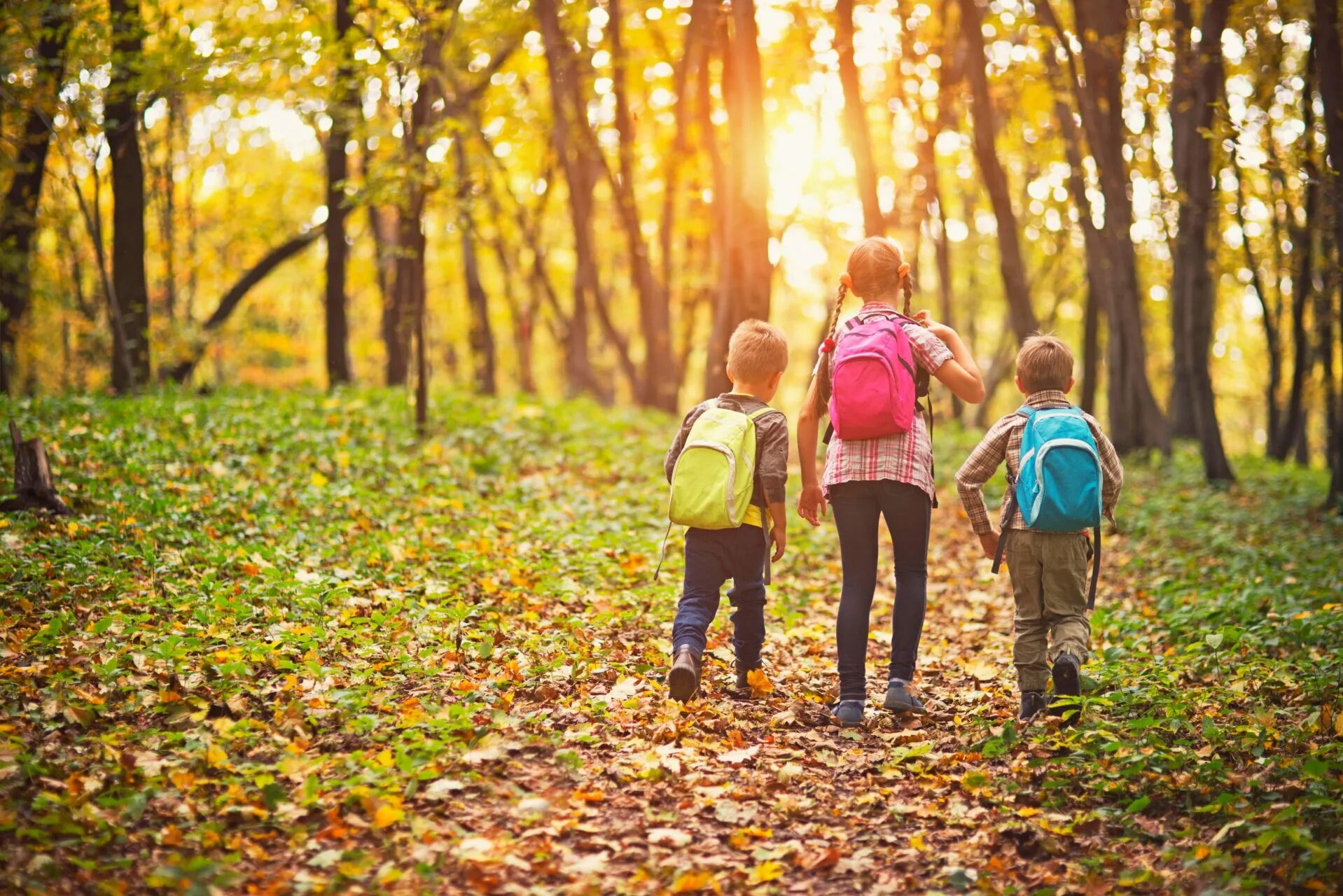 Гулять это. Прогулка в лесу. Осенняя прогулка. Дети на прогулке. Прогулки в лесу с детьми.
