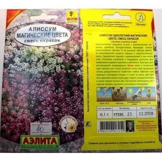 Семена алиссума в открытый грунт