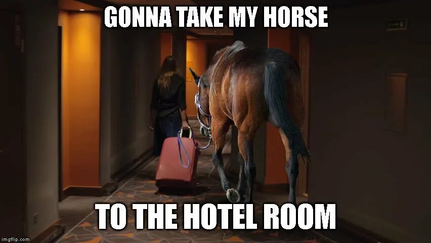 Im gonna take. I&#039;m gonna take my horse to the old town. yeah im gonna take my horse to the old town road. песня take my horse to the hotel road. ееее айм гонна тейк май хорс мем.