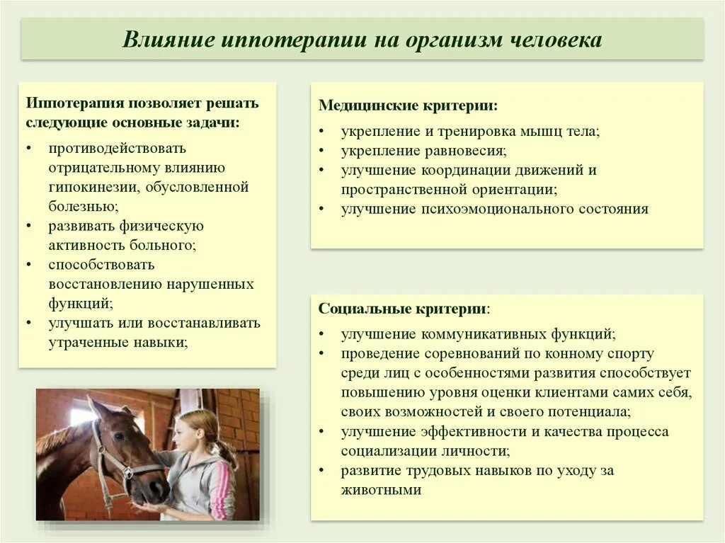 Конный спорт презентация. Строгое железо для лошади. Конный спорт доклад. Действие конского. Иппотерапия на лошади.