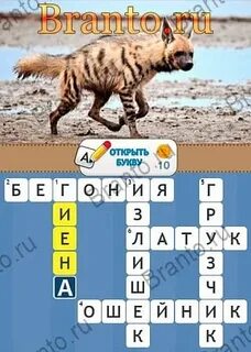 4 от 300 ответ
