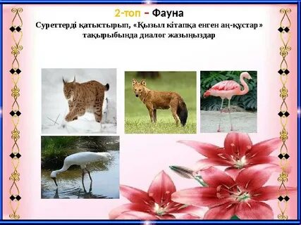 «Құл Изаура» фильмінің актрисасы порно фильмге түскен.