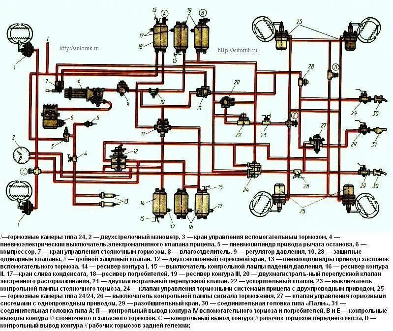 Камаз 43118 неисправности. Тормозная система КАМАЗ 4310 схема цветная. Тормозная система КАМАЗ 5320. Схема тормозной системы КАМАЗ 43118. Пневматический тормозной привод КАМАЗ 5320.