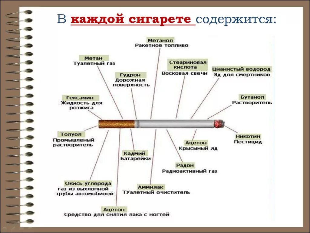 Что содержат стики