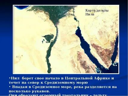 Она берет свое начало