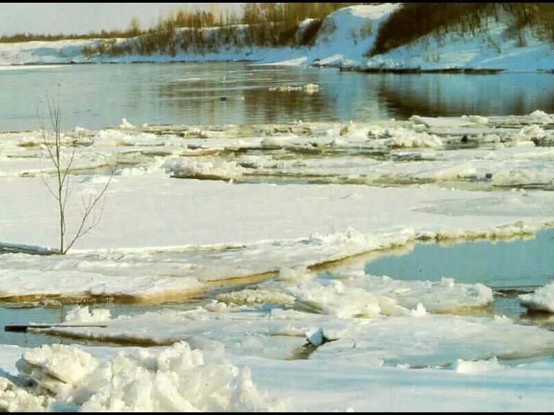 Волга река. Расплескалась река. Расплескалась прикольные синева. Вдвшники в фонтане. Купальщик.
