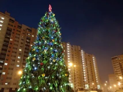Елки в ленинском районе