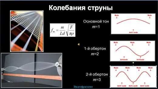 Амплитуда колебаний струны. Амплитуда колебаний струны