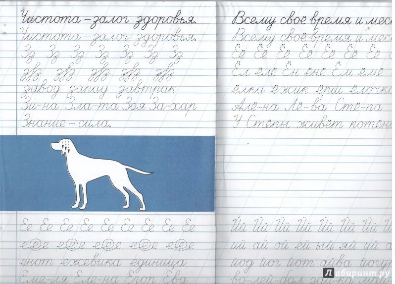 Книга: "Прописи-ступеньки. Чистописание. 4 класс: рабочая тетрадь № 2" - Тикунов