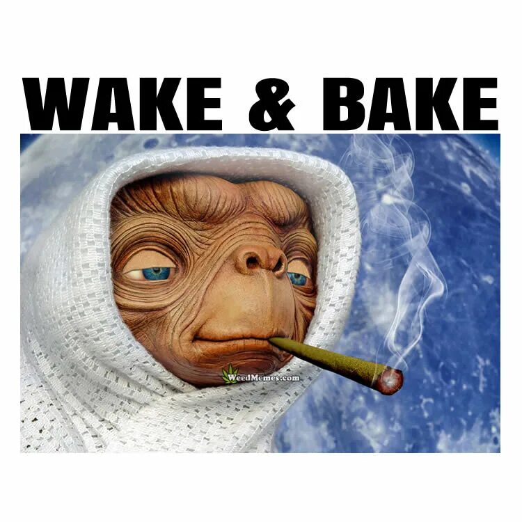 Wake and Bake. Weed memes. Weed Мем. Woke memes