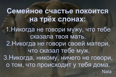 Семейный синоним