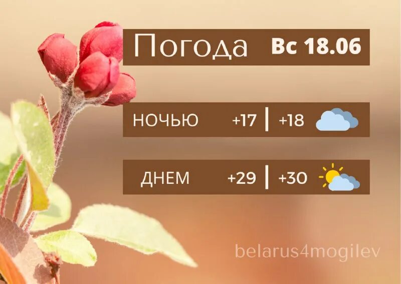 Программа беларусь 4 могилев. Программа беларусь 4 могилев. Программа беларусь 4 могилев. Программа беларусь 4 могилев. Программа беларусь 4 могилев.