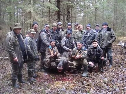 Погода в весьегонске на 14