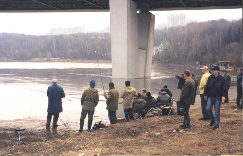 Рыбачим с моста. Мост для рыбалки. Рыбалка под мостом. Ловля под мостом. Рыбаки на мосту.