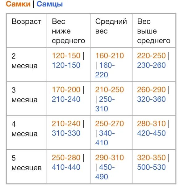 Сколько весит самка. Норма веса у крыс девочек. Норма веса крысы по месяцам. Сколько должна весить крыса. Норма веса крысы.