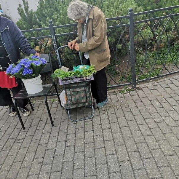 Бабушка продает цветы. Бабушка с цветами. Бабушка продает цветы на улице. Бабушки продают ягоды. Бабушка торгует цветами.