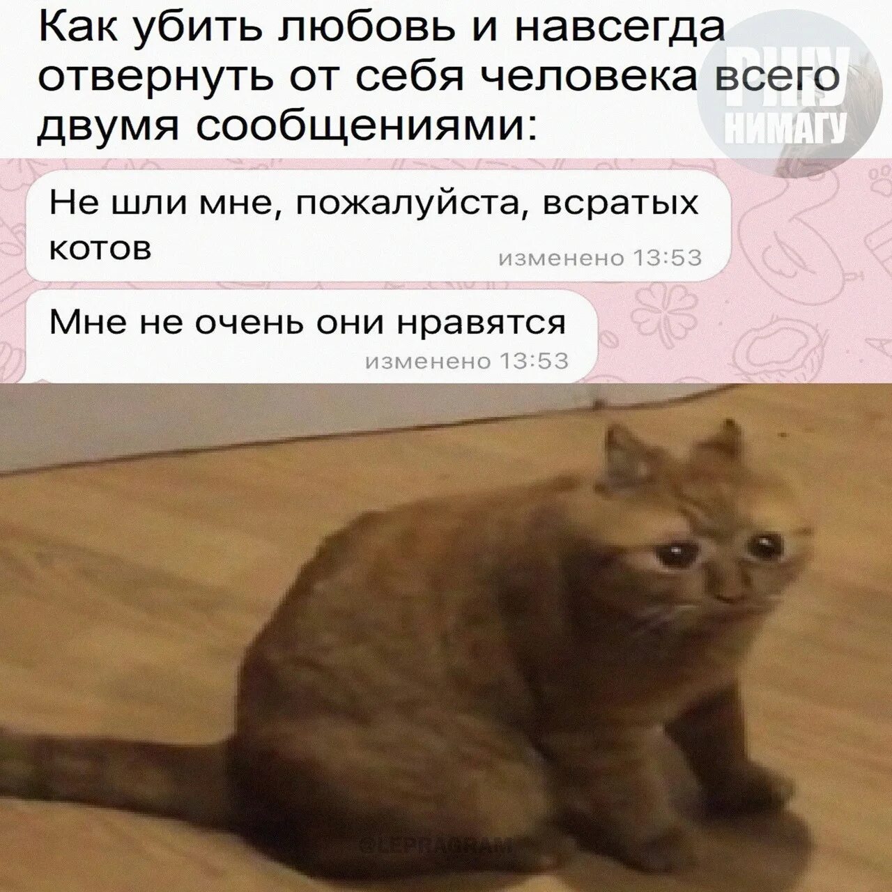 Кот опять. Опять на работу пиздос кот. картинки всратых котов. pizdos кот. кот наше мем.