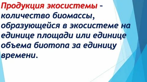 Чистая продукция экосистемы