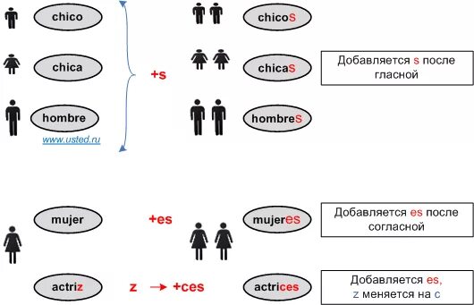 Существительные оканчивающиеся на о. Местоимения в испанском языке таблица. Образование множественного числа в исп. Глаголы оканчивающиеся на s. Множественное число в испанском.
