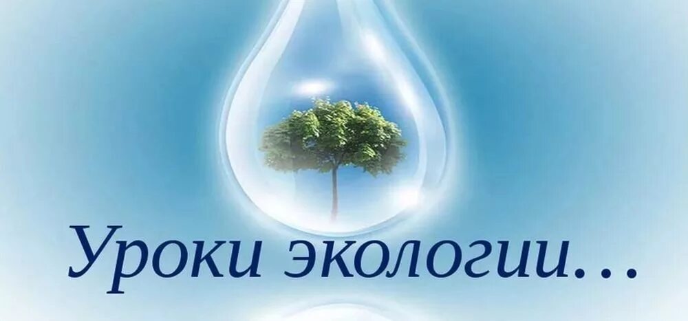 Экологический урок 2. Урок экологии. Экологический урок. Экологические уроки в школе. Предмет экология в школе.