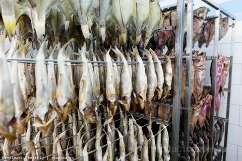 Рыба от производителя