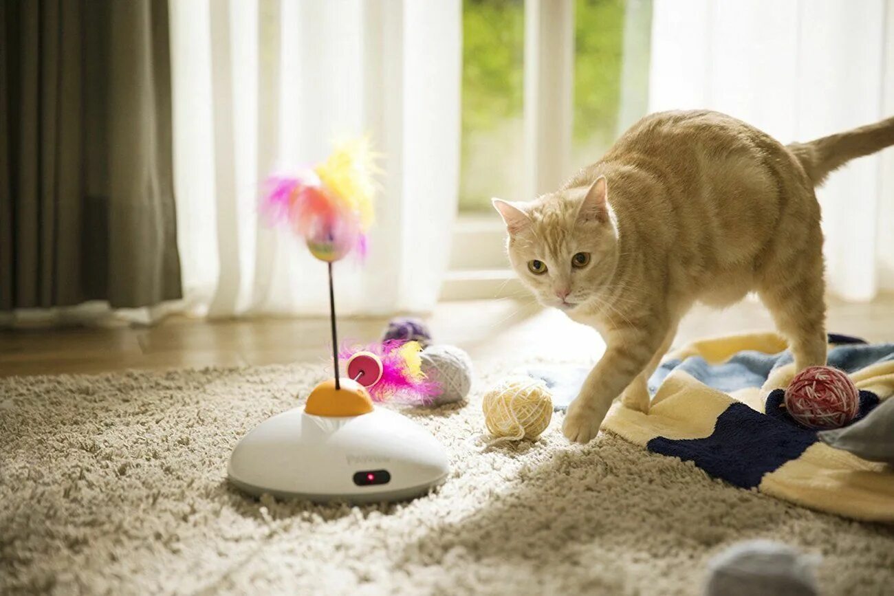 Игрушка для кошки на экране телефона. Игрушка для кошки. Интерактивная игрушка кошка. Игрушки на полу кошек. The Cat игрушки.