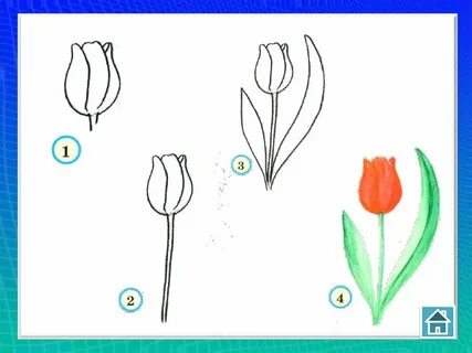 Весенние цветы поэтапно 1 класс