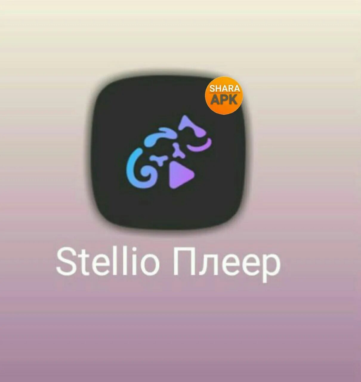 Stellio одежда. Stellio Player фиолетовая. Stellio Player logo. Stellio кофта. Stellio player