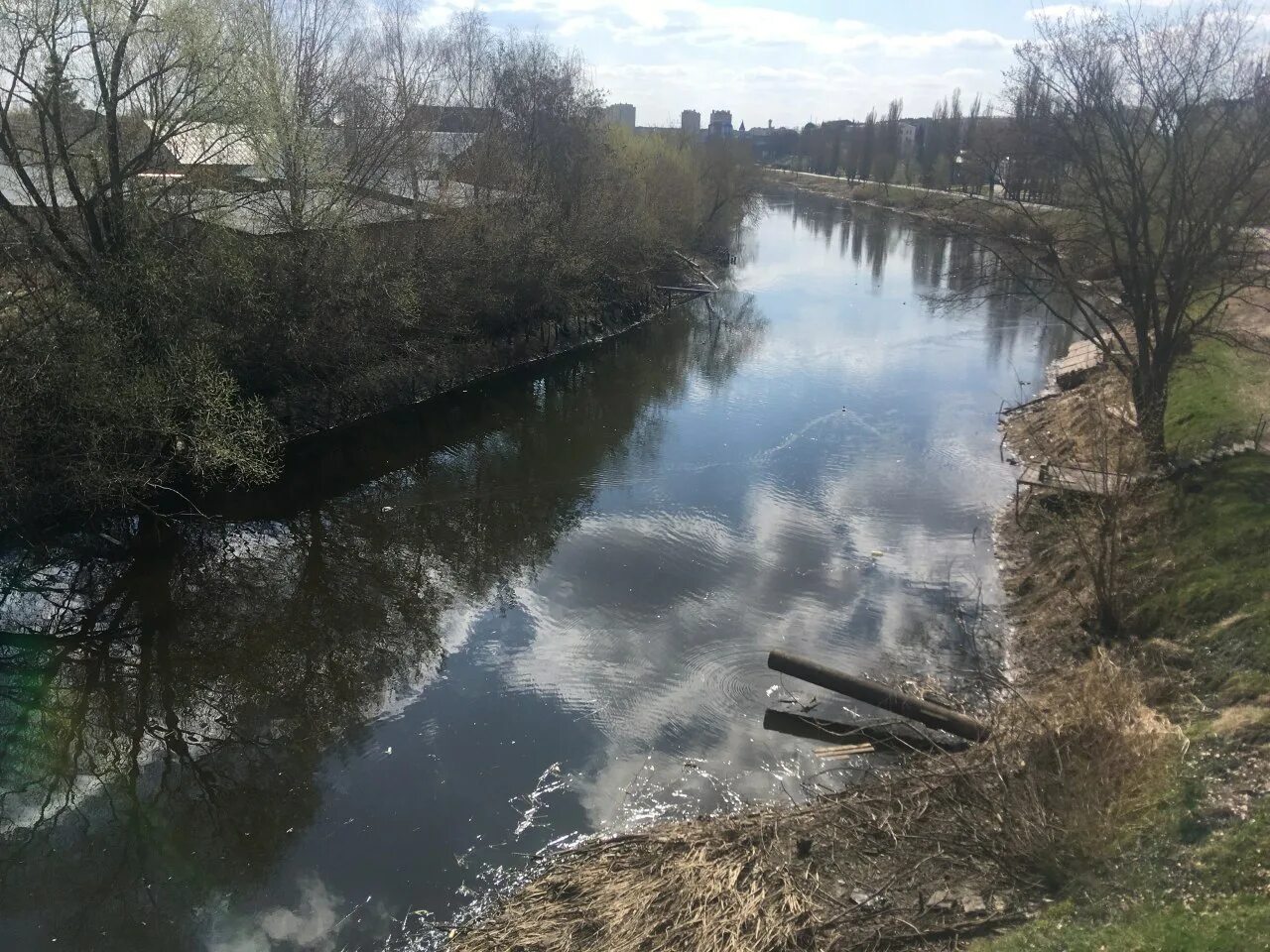 Уровень воды река цна. Река Цна Тамбовской. Река Цна Тамбов. Река Цна Тверская область. Река паника Тамбов.