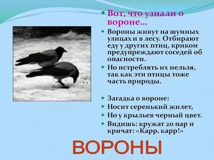 Рассказ черного ворона