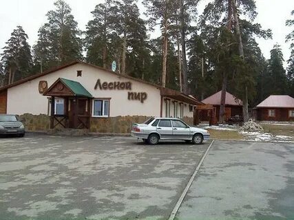 Кафе в лесу сызрань