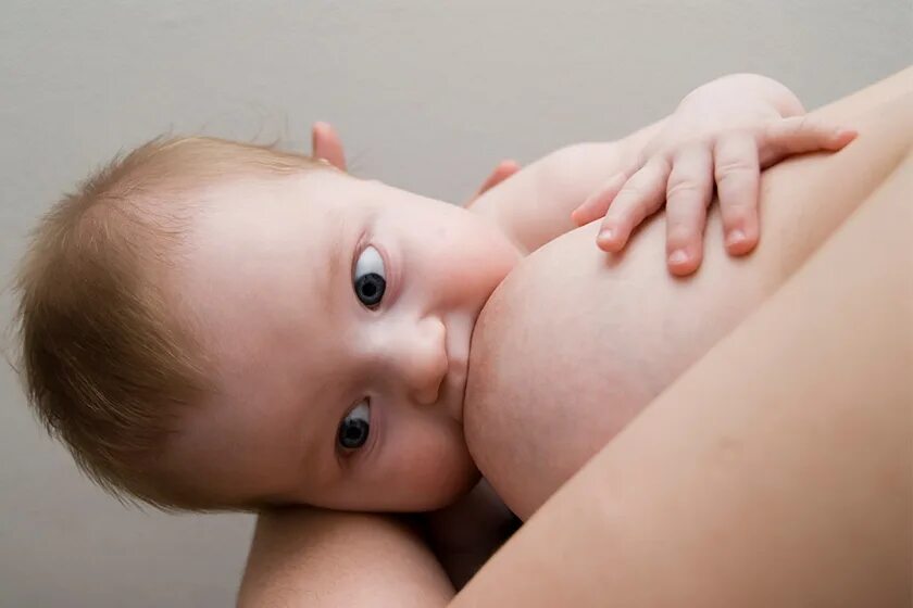 Мама титю. Грудное вскармливание новорожденных. Кормит грудью. Молочная грудь.