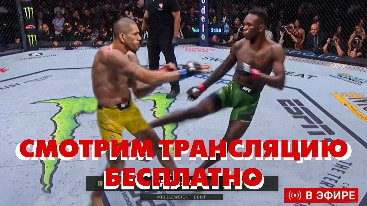 Прямой эфир ufc 24