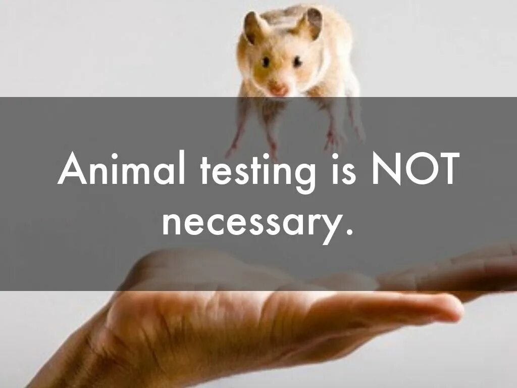 Not animal Testing. Animal Testing should be banned презентация. Stop animal Testing картинки.