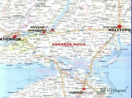 Аскания нова находится