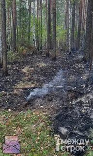 Новости нижнего тагила происшествия вагонка