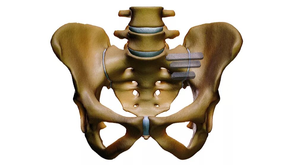Правая лонная кость. Крестцово-подвздошный сустав движение. Соединение крестцово-подвздошный сустав анатомия. Lobkovyyn simfiz. Крестцово лонное сочленение.