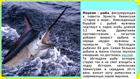 Marlin перевод