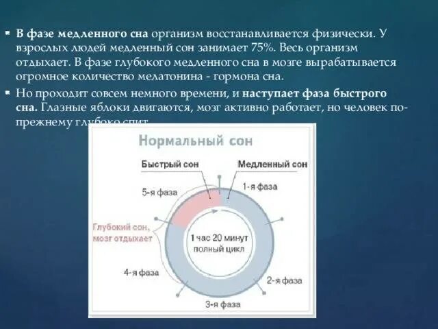 Rem фаза сна. Быстрый медленный и глубокий сон. Фазы сна быстрый и медленный сон. Соотношение медленного и быстрого сна. Чем характеризуется медленный и быстрый сон