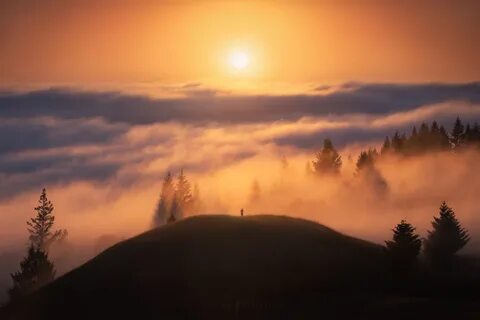 Туманом солнце не видно песня