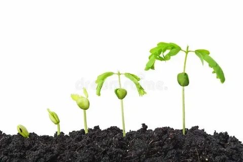 But growing