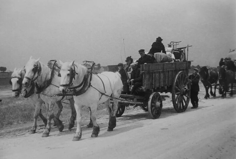 Лошадка с тележкой. Телега деревенская. Телега с лошадью. Транспорт гужевой 19 век. Гужевые перевозки.