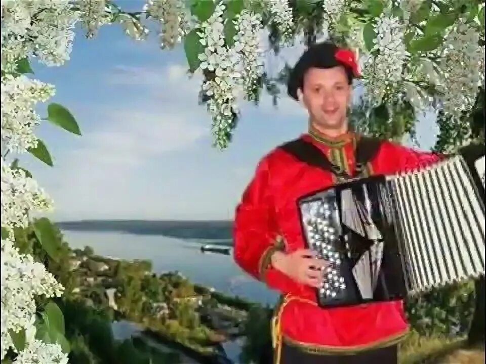 Казачий под окном широким. Черемуха под окном. под окном черёмуха колышется. клип под окошком. под окном черемуха колышется автор.